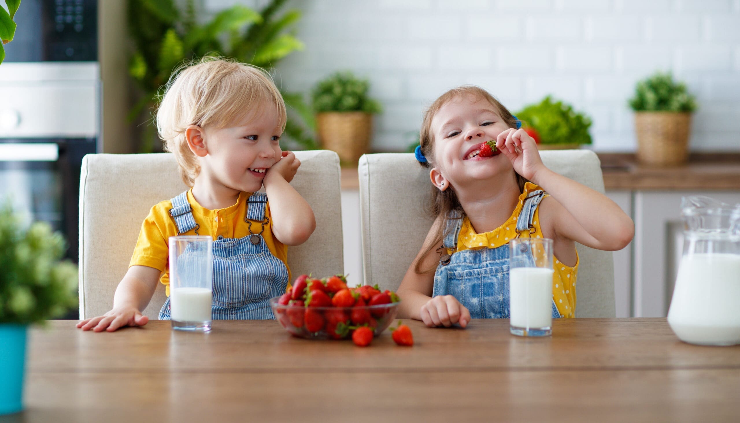 kid-friendly-meals