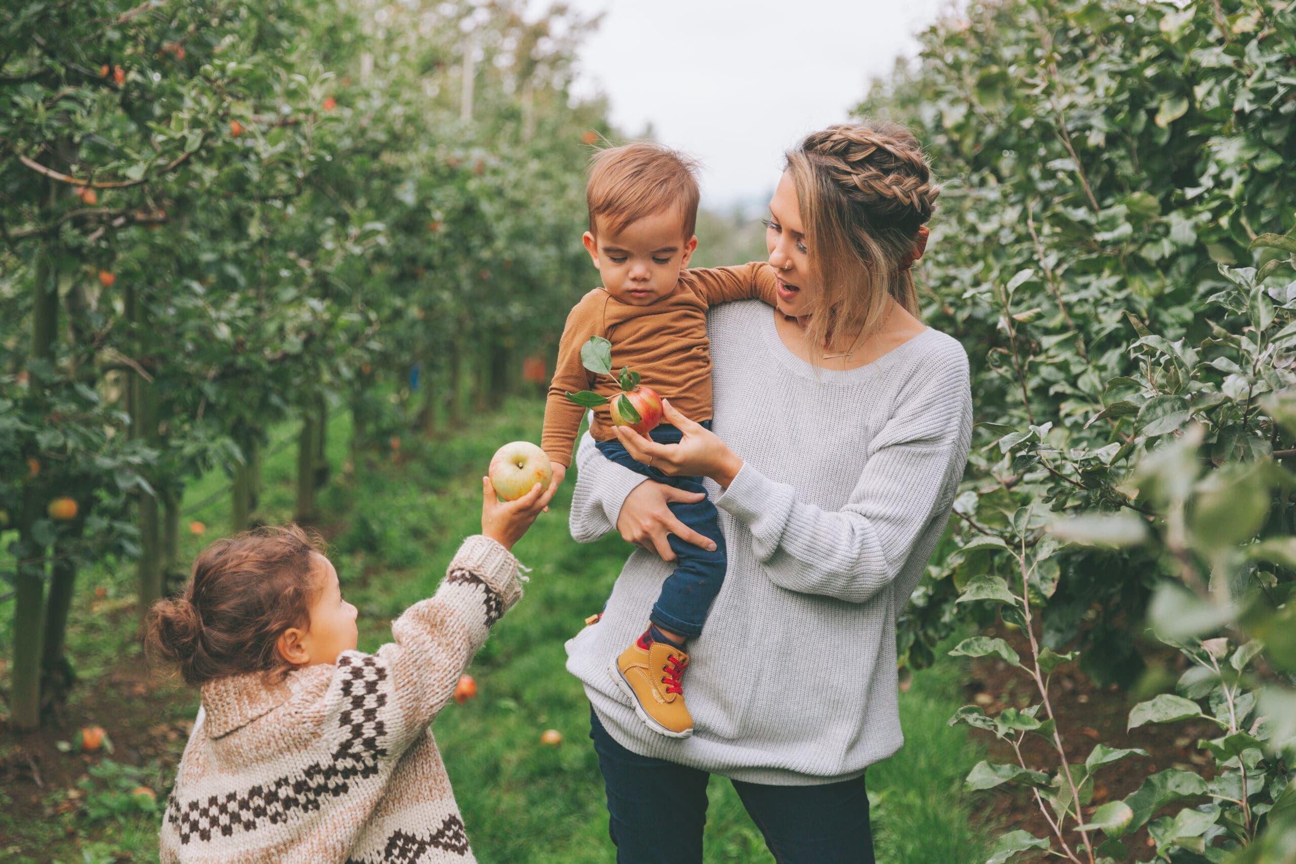 fall-activities-for-families