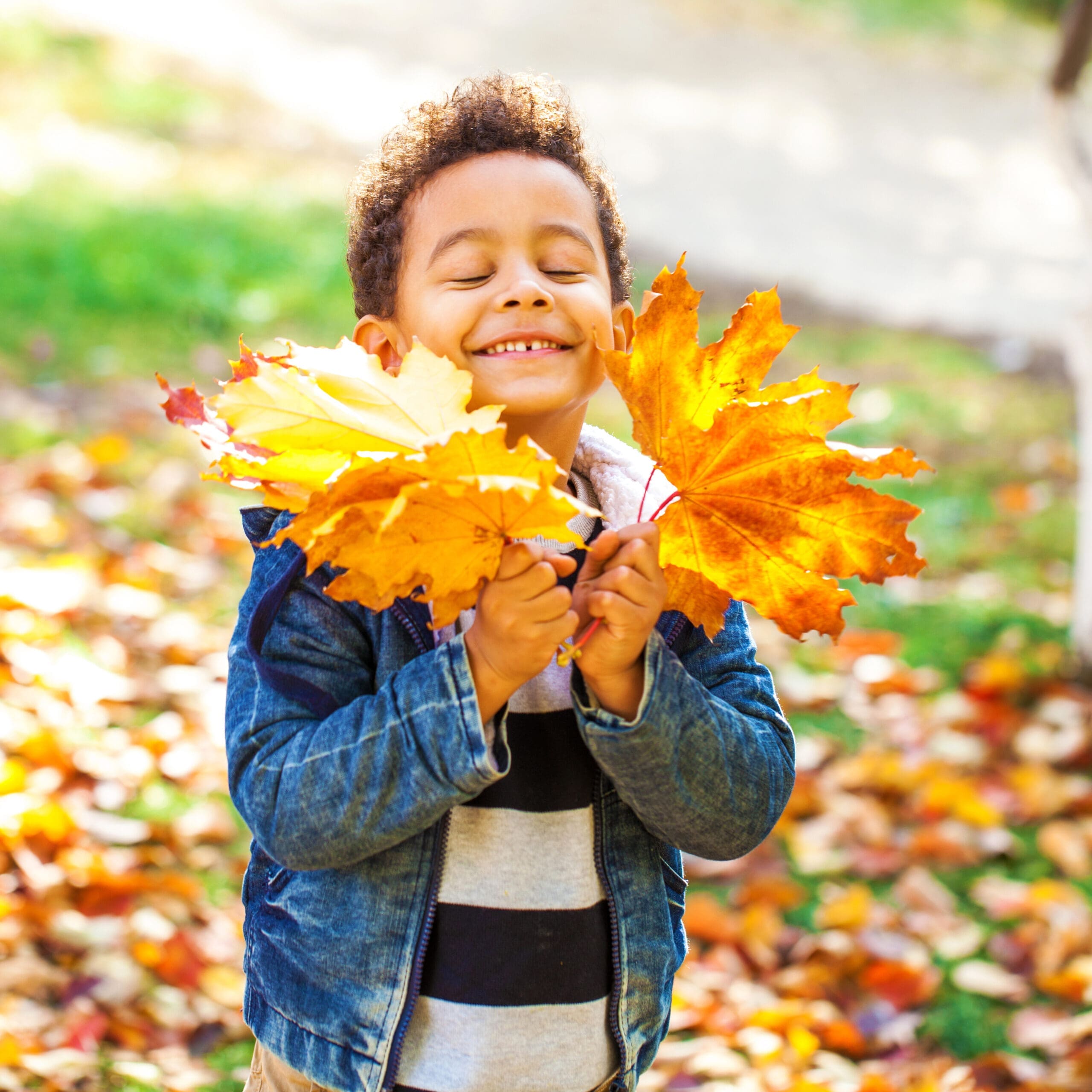 thanksgiving day fun