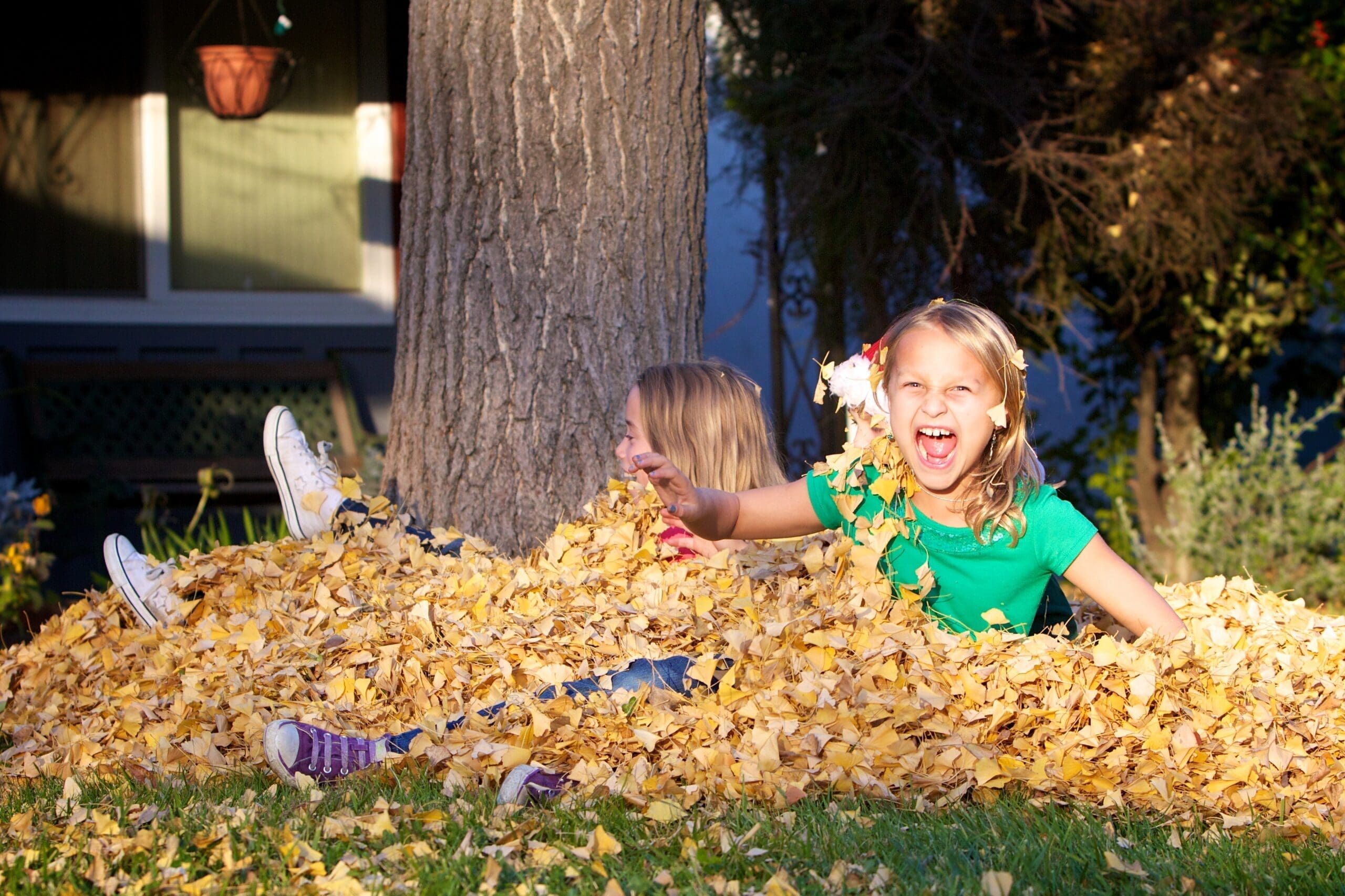 fall-ideas