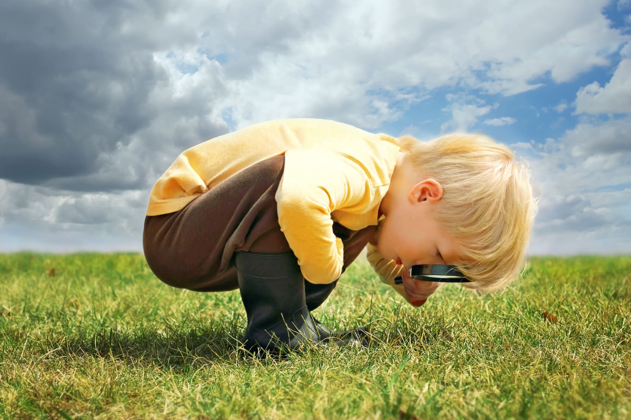 how-to-develop-curiosity